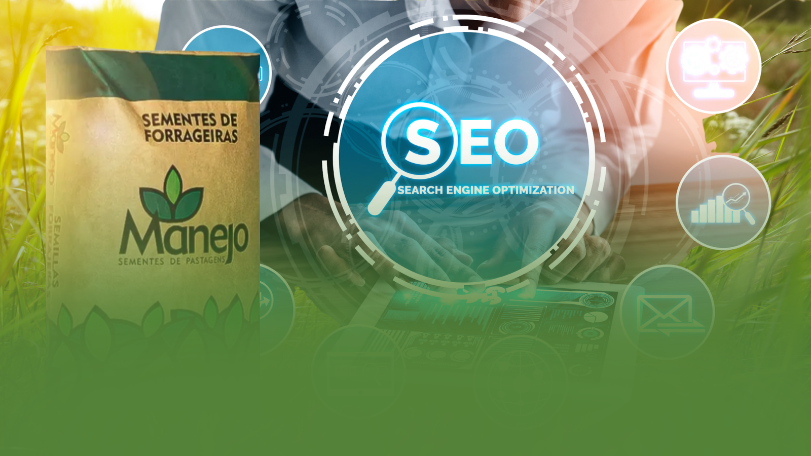 Estratégia de SEO Local no Agronegócio para venda de sementes de brachiaria e panicum.
